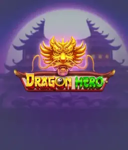 Embark on a fantastic quest with the Dragon Hero game by Pragmatic Play, featuring stunning graphics of mighty dragons and heroic battles. Explore a world where magic meets adventure, with featuring enchanted weapons, mystical creatures, and treasures for a captivating gaming experience.